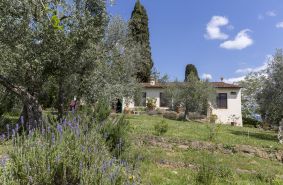 Birello Immobiliare