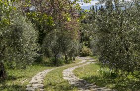 Birello Immobiliare