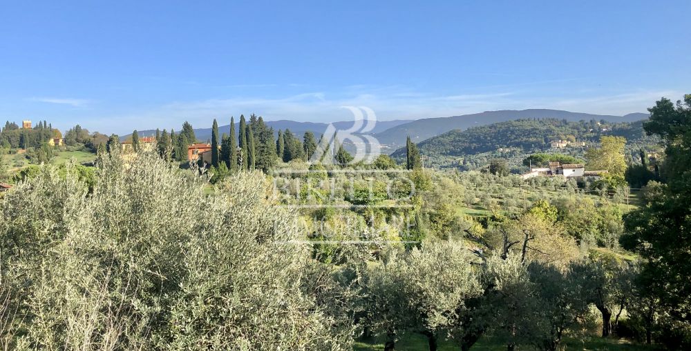 Birello Immobiliare