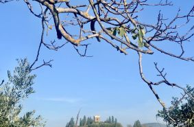 Birello Immobiliare