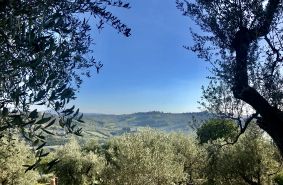 Birello Immobiliare