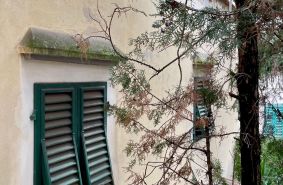 Birello Immobiliare
