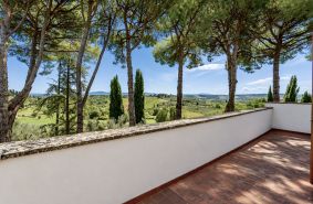 Birello Immobiliare